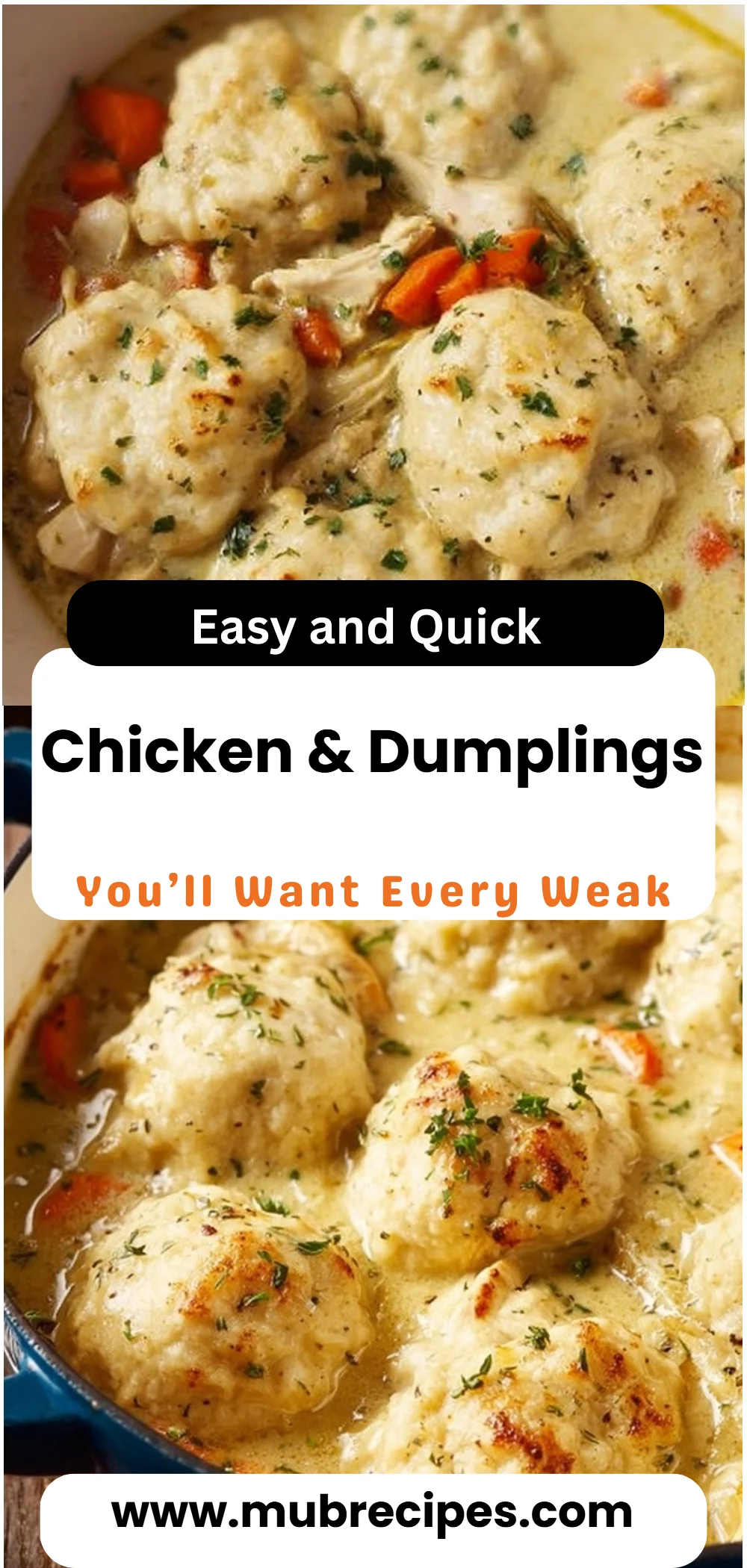 Chicken & Dumplings