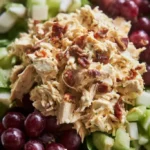 Fancy Nancy Chicken Salad 3 fancy nancy chicken salad 2026 03 15 144726 683x1024 1