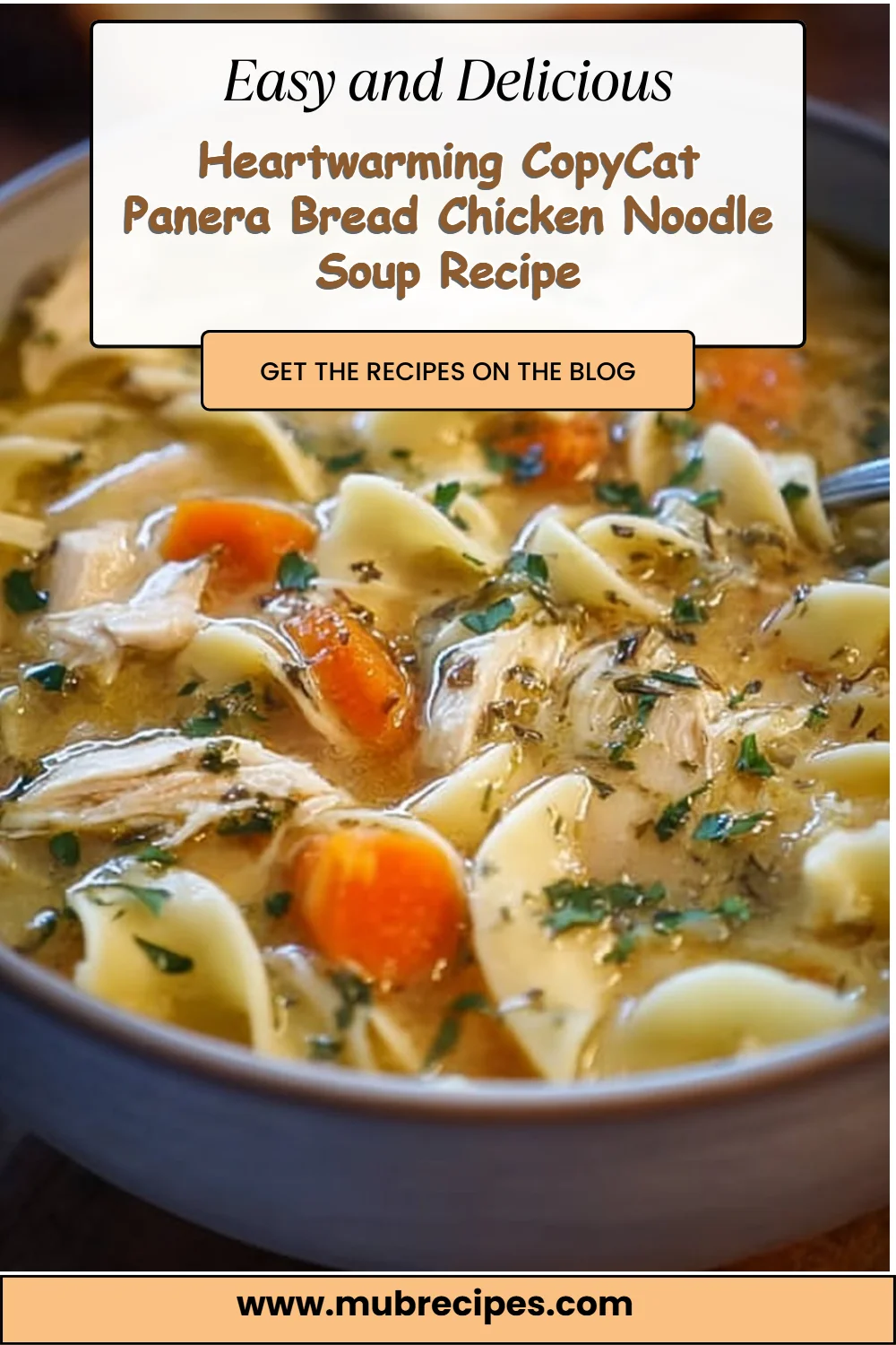 Heartwarming CopyCat Panera Bread Chicken Noodle Soup Recipe