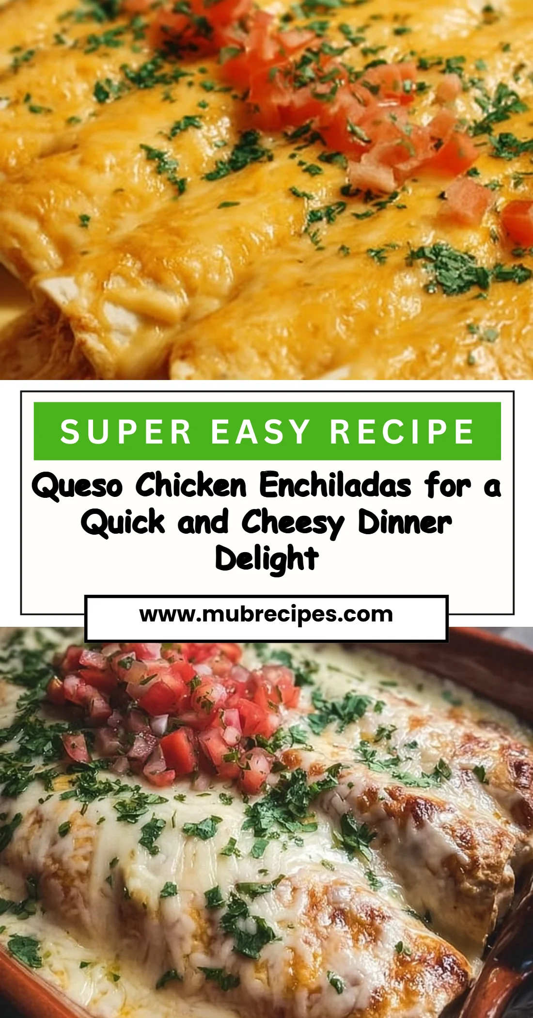 Queso Chicken Enchiladas for a Quick and Cheesy Dinner Delight 4 Queso Chicken Enchiladas for a Quick and Cheesy Dinner Delight